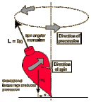 Top Market Spin In The Primary Market