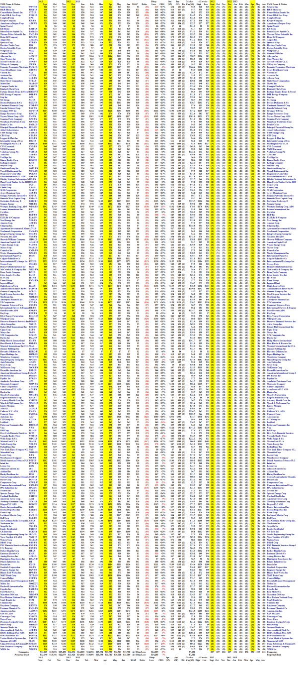 S&P 500 Companies - Portfolio - June 21, 2013