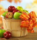 Apple Basket