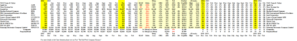 (B)(N) NYSE "Big Techs" - Prices & Portfolio - January 2014