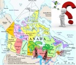 How much do you want?