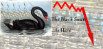 The Black Swan...Is Here