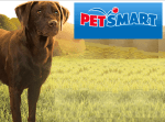 Courtesy: PetSmart Incorporated
