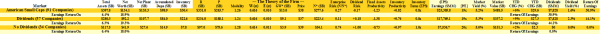 American Small Caps - Dividend Paying Companies