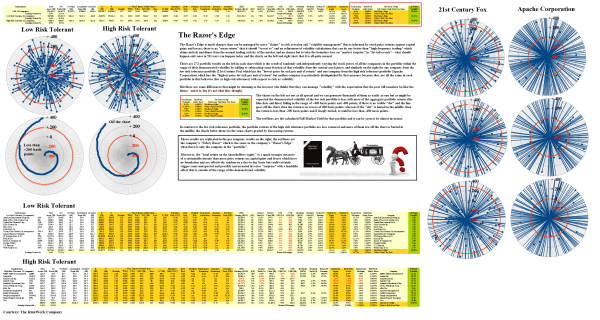 Figure 1.1: S&P 100 Low and High Risk - Fundamentals - Hail Mary!
